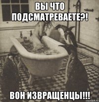 вы что подсматреваете?! вон извращенцы!!!