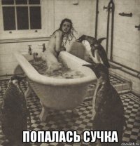  попалась сучка