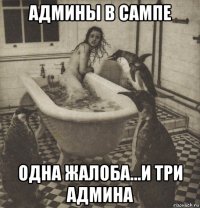 админы в сампе одна жалоба...и три админа