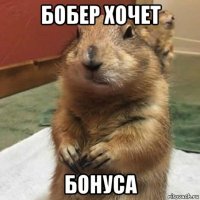 бобер хочет бонуса