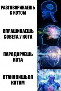 разговариваешь с котом спрашиваешь совета у кота пародируешь кота становишься котом