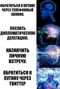 Обратиться к путину через телефонный звонок. послать дипломатическую делегацию. назначить личную встречу. обратиться к Путину через твиттер