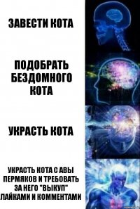 завести кота Подобрать бездомного кота Украсть кота Украсть кота с авы пермяков и требовать за него "выкуп" лайками и комментами