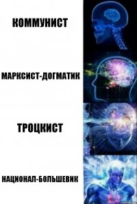 Коммунист Марксист-догматик Троцкист Национал-большевик