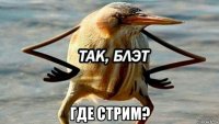  где стрим?