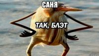 саня 