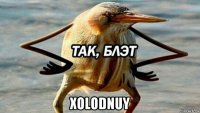  xolodnuy