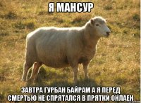 я мансур завтра гурбан байрам а я перед смертью не спрятался в прятки онлаен