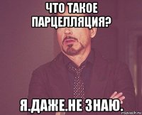 что такое парцелляция? я.даже.не знаю.