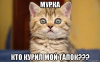 мурка кто курил мой тапок???