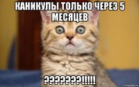 каникулы только через 5 месяцев ???????!!!!!