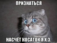 признаться насчёт косаток я х.з.