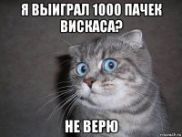 я выиграл 1000 пачек вискаса? не верю