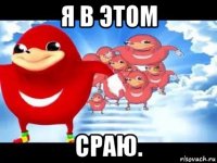 я в этом сраю.