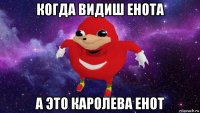 когда видиш енота а это каролева енот