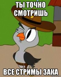 ты точно смотришь все стримы зака