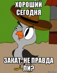 хороший сегодня закат, не правда ли?