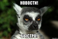 новости! быстро!