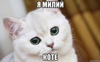 я милий коте