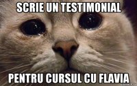 scrie un testimonial pentru cursul cu flavia