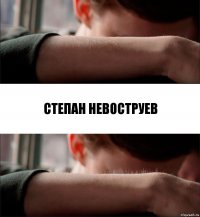 степан невоструев