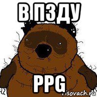 в пзду ppg