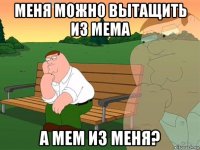 меня можно вытащить из мема а мем из меня?