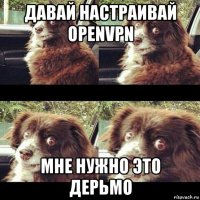 давай настраивай openvpn мне нужно это дерьмо