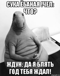 сука ёбаная !чел: что? ждун: да я блять год тебя ждал!