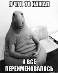 я что-то нажал и все переименовалось