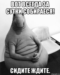 вот всегда за сутки собираеся! сидите ждите.