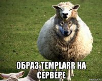  образ templarr на сервере