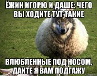 ёжик игорю и даше: чего вы ходите тут такие влюбленные под носом, дайте я вам подгажу