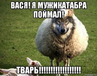 вася! я мужикатабра поймал! тварь!!!!!!!!!!!!!!!!!!