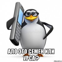  ало это семен или урса ?