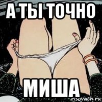 а ты точно миша