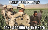 какие террористы? опия должно быть много