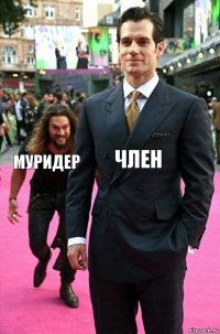 Член Муридер