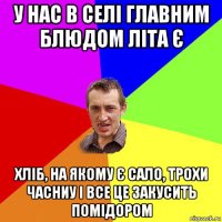 у нас в селі главним блюдом літа є хліб, на якому є сало, трохи часниу і все це закусить помідором