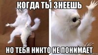 когда ты знеешь но тебя никто не понимает