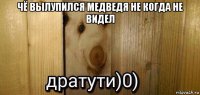 чё вылупился медведя не когда не видел 