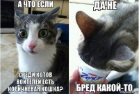 среди котов воителей есть коричневая кошка?