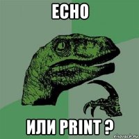 echo или print ?