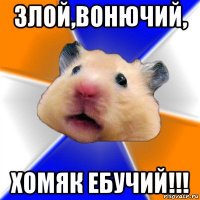 злой,вонючий, хомяк ебучий!!!