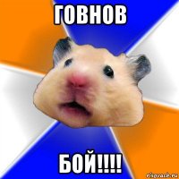 говнов бой!!!!