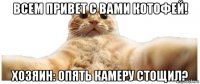 всем привет с вами котофей! хозяин: опять камеру стощил?