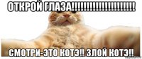 открой глаза!!!!!!!!!!!!!!!!!!!!! смотри-это котэ!! злой котэ!!