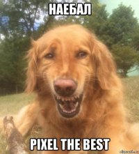 наебал pixel the best