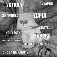 устала уборка дача снова на работу хочу есть сухарик не знаю что ему писать золушка крыса на аве - кучер хочу спать