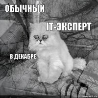 Обычный  it-эксперт  в декабре     